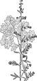 Thumbnail for version as of 13:10, 1 May 2007