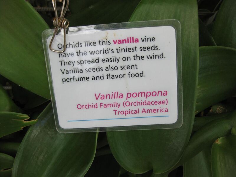 File:1280px-IMG 1776 hunt09oct.jpg