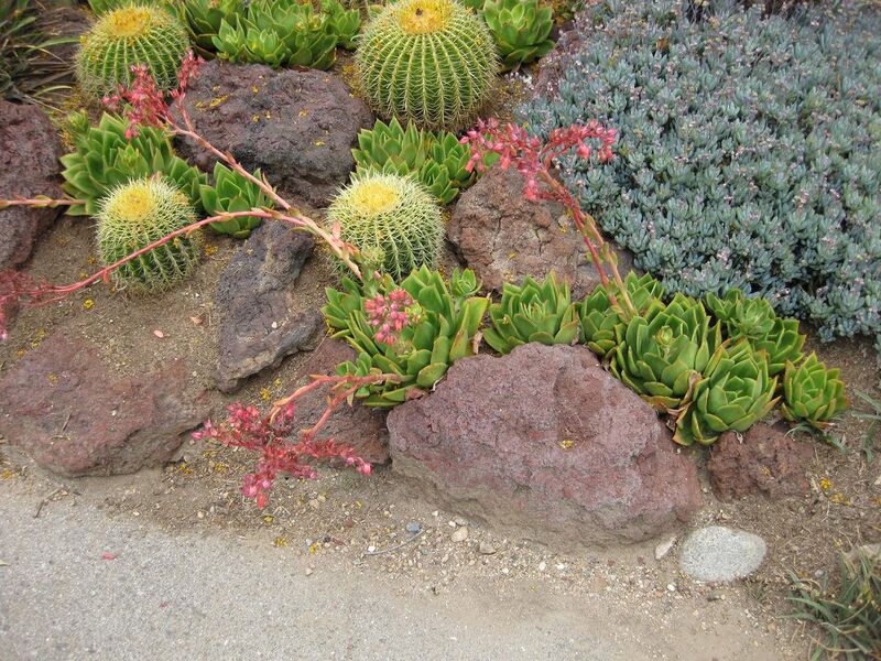 File:1280px-IMG 7408 hunt09jun.jpg