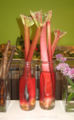 Thumbnail for version as of 16:47, 26 September 2007