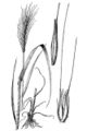 Thumbnail for version as of 12:15, 15 July 2007