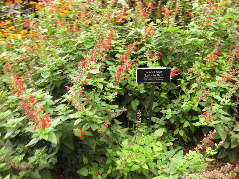 File:1280px-IMG 1454 bbg09.jpg