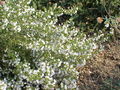 Thumbnail for version as of 10:12, 23 October 2007