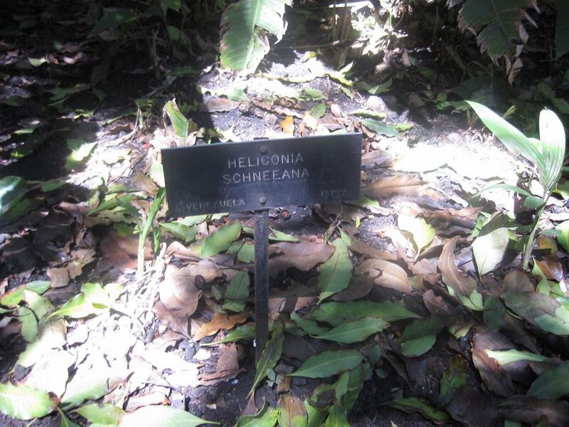 File:1024px-IMG 2005 hunt0903.jpg