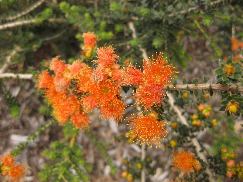 File:1024px-IMG 7289 hunt09jun.jpg
