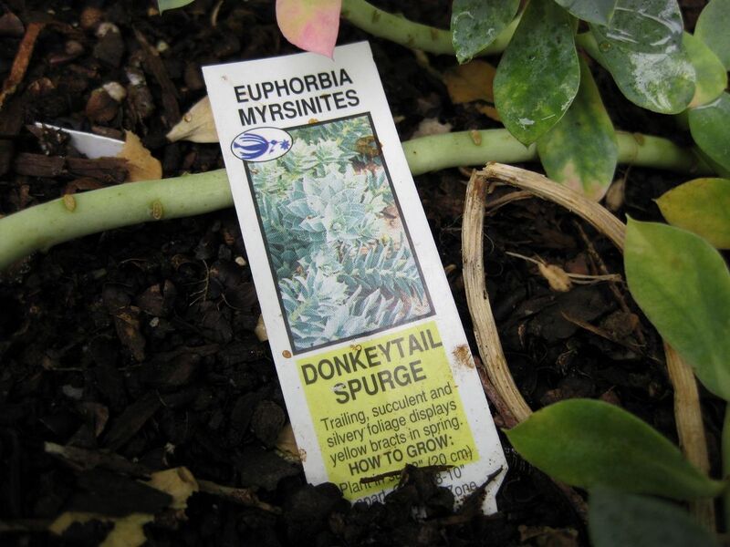 File:1280px-IMG 0723 bbg09.jpg