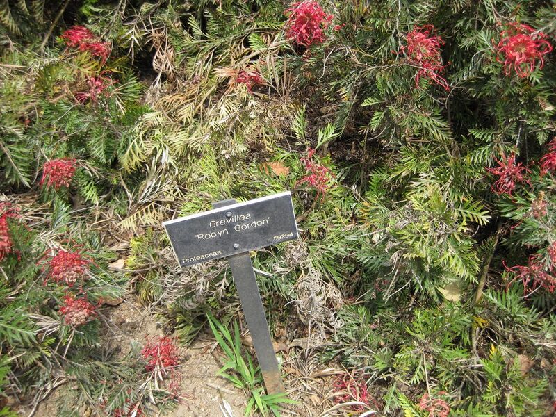 File:1280px-IMG 4566 hunt0904.jpg