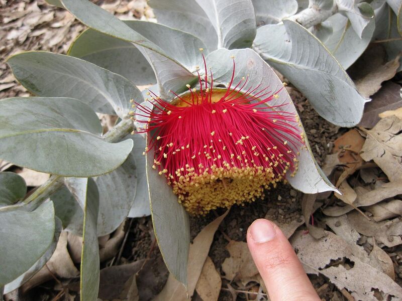 File:1280px-IMG 4875 hunt0904.jpg