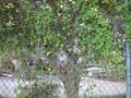 Thumbnail for version as of 10:35, 29 April 2025
