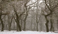 Thumbnail for version as of 03:15, 6 May 2007