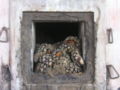 Thumbnail for version as of 14:14, 9 June 2007