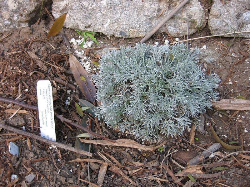 File:1280px-IMG 2705 ucla09.jpg