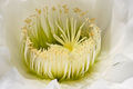 Thumbnail for version as of 12:57, 18 May 2007
