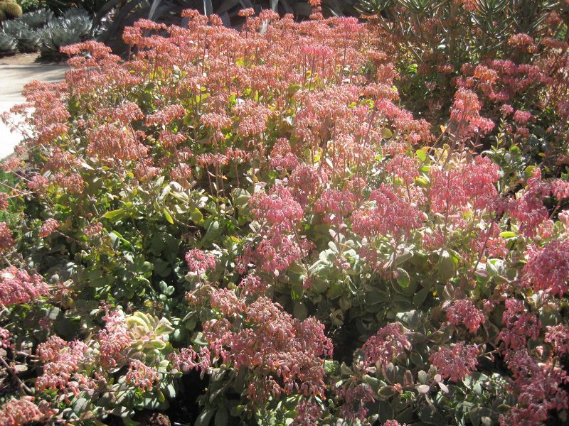 File:IMG 2139 hunt0903.jpg