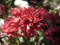 Thumbnail for version as of 05:03, 2 July 2007
