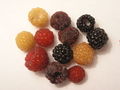 Red,Purple,Black,Albino Raspberries