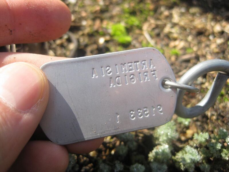 File:1280px-IMG 2362 hunt0903.jpg