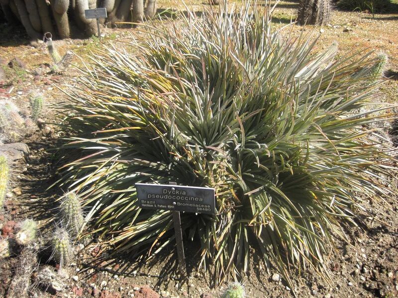 File:1280px-IMG 2439 hunt0903.jpg