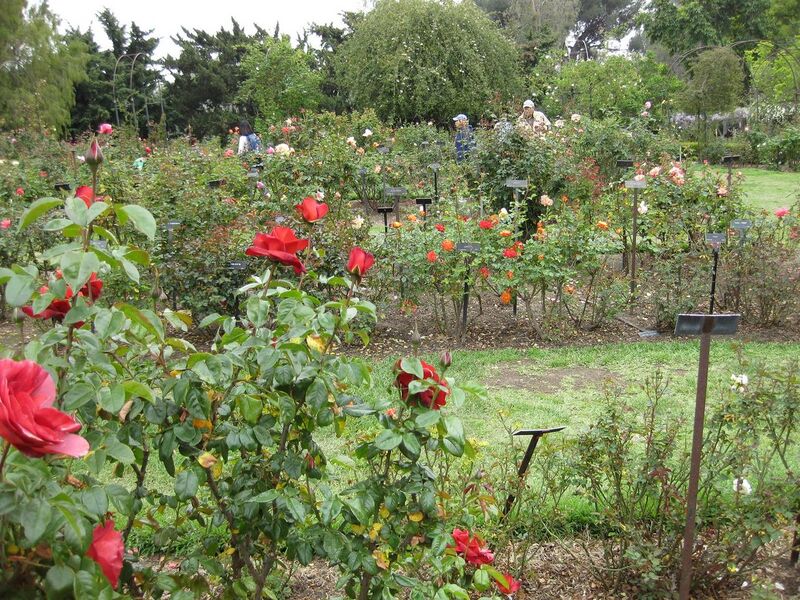 File:1280px-IMG 5365 hunt0904.jpg