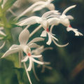 Thumbnail for version as of 10:40, 2 May 2007