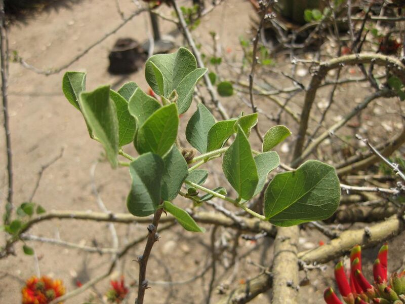 File:1280px-IMG 4331 hunt0904.jpg