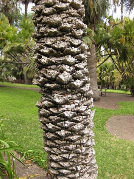 File:576px-IMG 4077 hunt0904.jpg