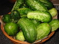 Thumbnail for version as of 14:27, 15 May 2007