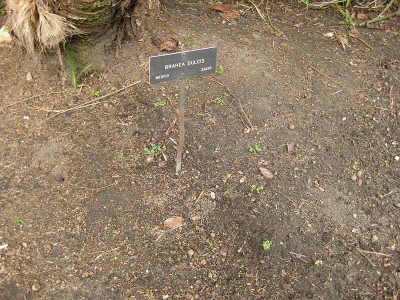 File:1024px-IMG 4135 hunt0904.jpg