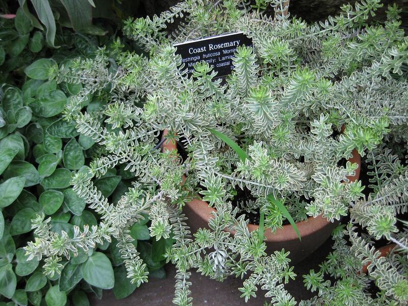 File:1280px-IMG 1215 bbg09.jpg