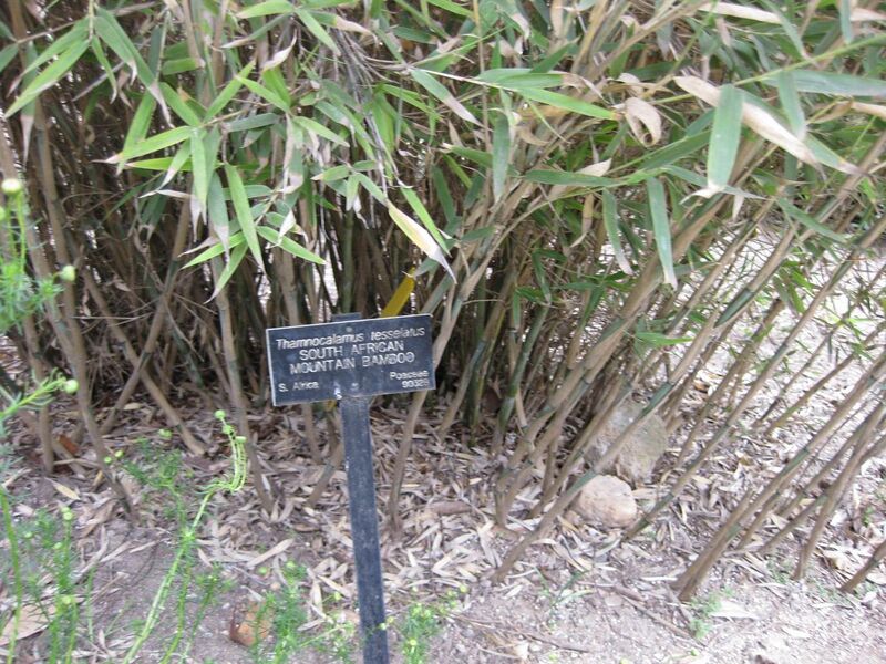 File:1280px-IMG 4913 hunt0904.jpg