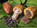 Thumbnail for version as of 16:40, 3 September 2008