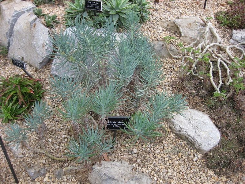 File:IMG 1276 bbg09.jpg