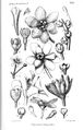 Thumbnail for version as of 09:53, 15 October 2007