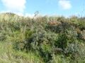 Thumbnail for version as of 09:40, 29 April 2025