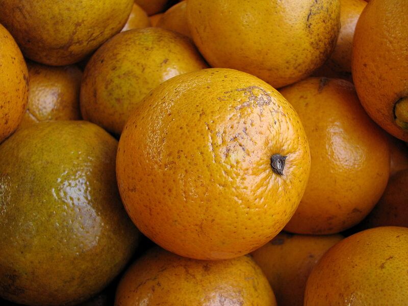 File:1024px-Florida navel orange 1.jpg