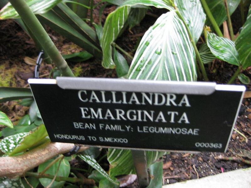 File:1024px-IMG 1037 bbg09.jpg