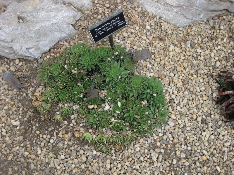 File:1280px-IMG 1270 bbg09.jpg