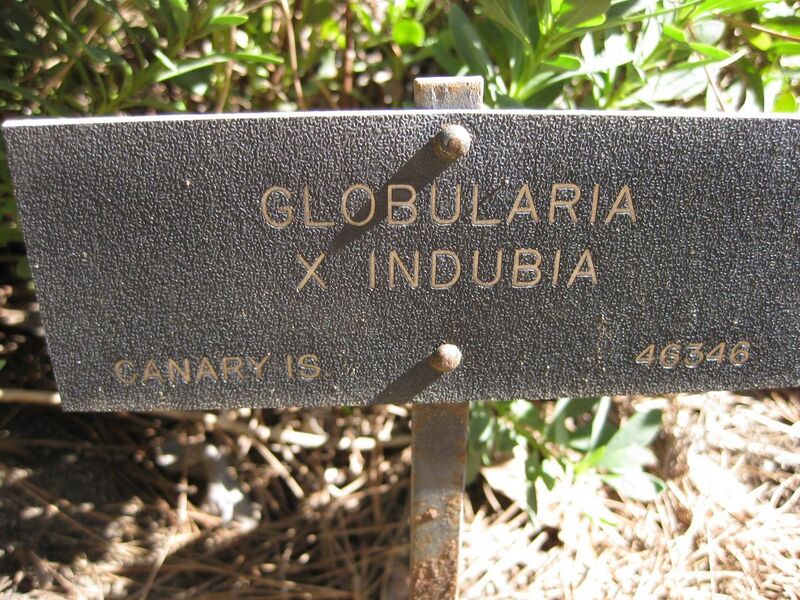 File:1280px-IMG 1898 hunt09oct.jpg