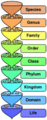 Thumbnail for version as of 10:30, 29 April 2025