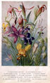 Thumbnail for version as of 12:00, 5 July 2007