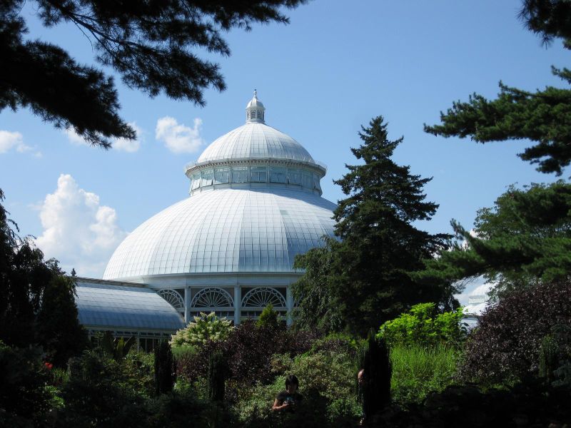 File:IMG 0359 nybg09.jpg