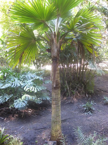 File:IMG 2019 hunt0903.jpg