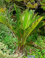 Thumbnail for version as of 12:16, 21 October 2007