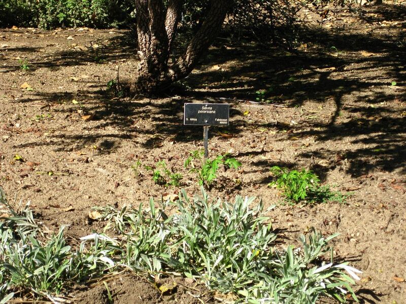 File:1280px-IMG 2055 hunt09oct.jpg