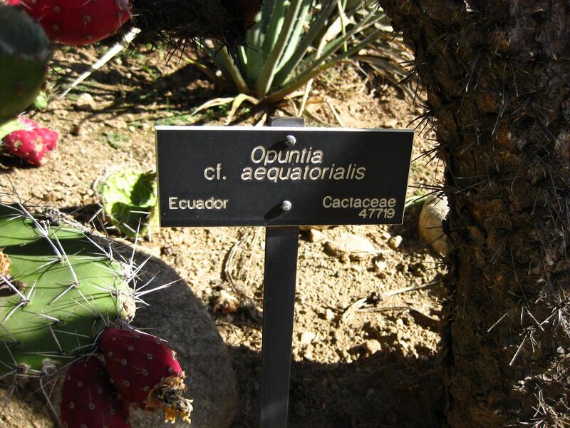 File:1280px-IMG 2099 hunt09oct.jpg