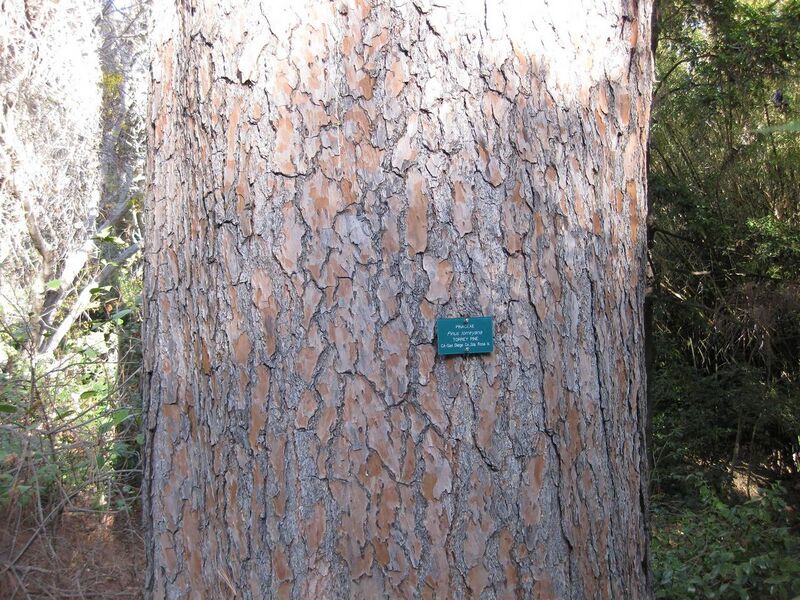 File:1280px-IMG 2686 ucla09.jpg