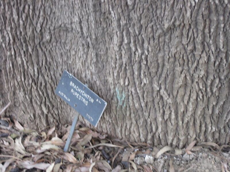 File:1280px-IMG 4889 hunt0904.jpg