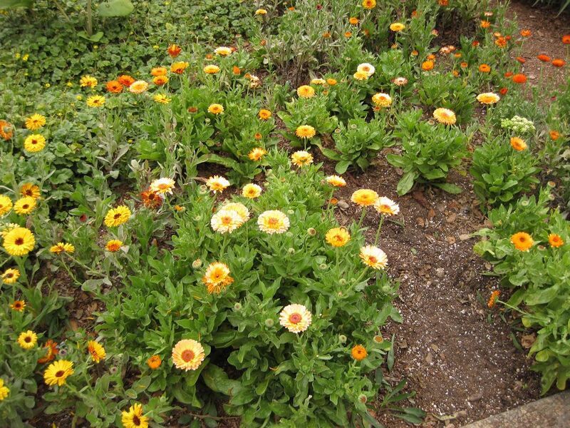 File:1280px-IMG 6848 hunt09jun.jpg