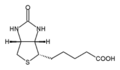Thumbnail for version as of 10:15, 29 April 2025