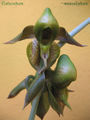 Thumbnail for version as of 10:20, 27 June 2007
